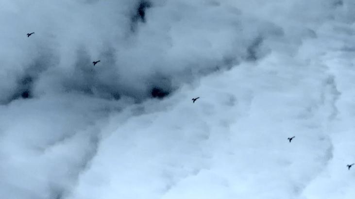 Baykar'dan Sürü Halinde Uçabilen Yeni Nesil Kamikaze İHA: K2 Tanıtıldı
