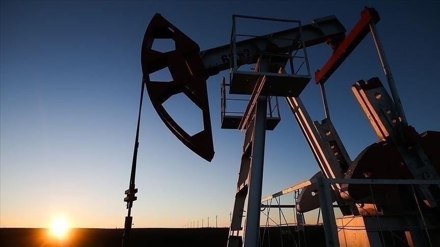 Türkiye'nin Petrol İthalatında Düşüş, Üretiminde Artış