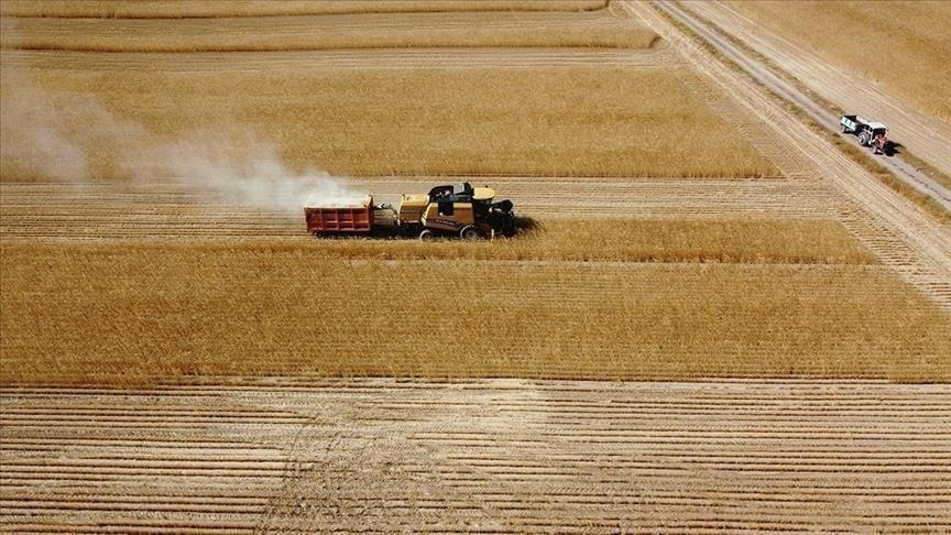 Çiftçilere 8.7 Milyar TL'lik Tarımsal Destek Ödemesi Bugün Yapılıyor