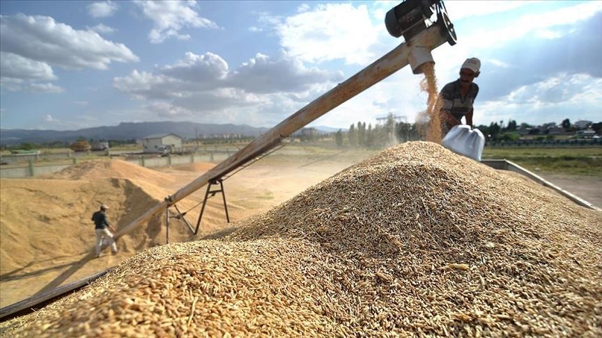 TMO Hububat Satış Politikasını Güncelledi: Yeni Hasat Dönemine Kadar Fiyatlar Sabit