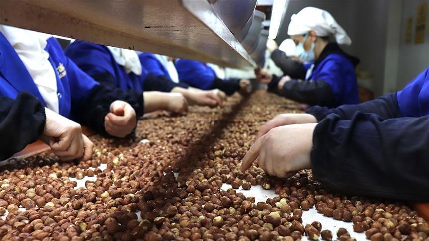Kadınların İhracat Katkısında Giresun Öne Çıktı: Rakamlar Açıklanıyor